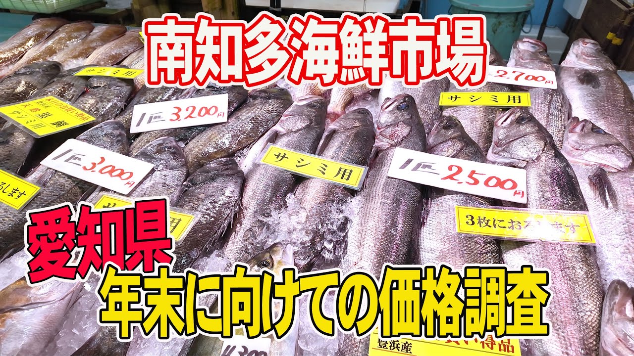 【南知多海鮮市場】安くて新鮮！師走の海鮮はココで決まり？
