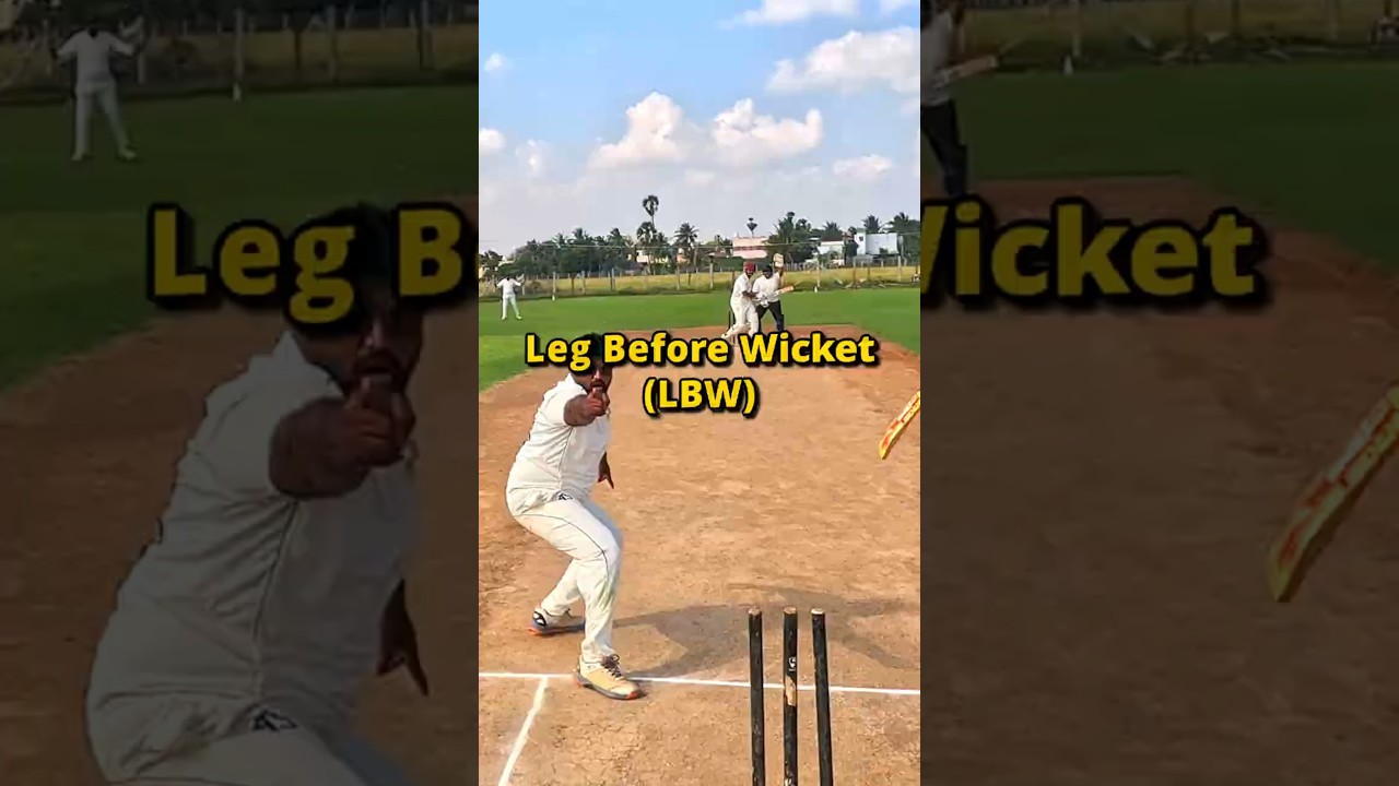 LBW🎯 Out?