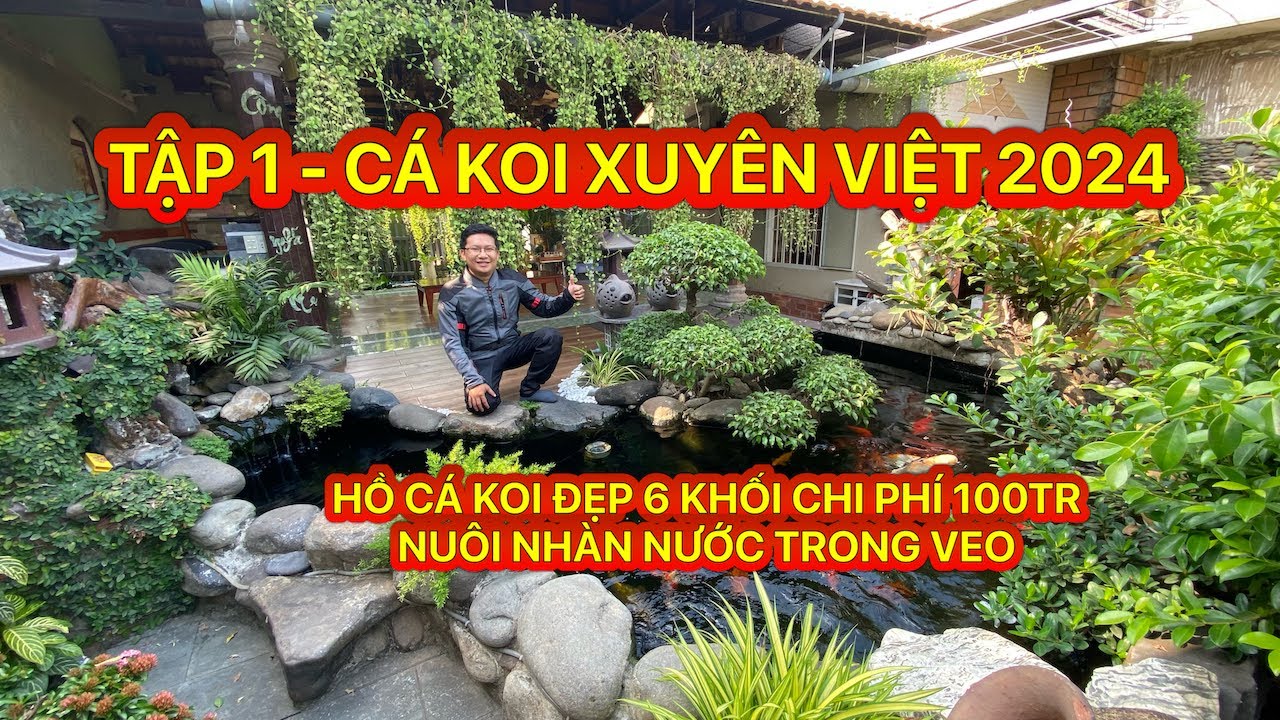 TẬP 1 - CÁ KOI XUYÊN VIỆT 2024 - HỒ CÁ KOI ĐẸP 6 KHỐI CHI PHÍ 100TR NUÔI NHÀN NƯỚC TRONG VEO