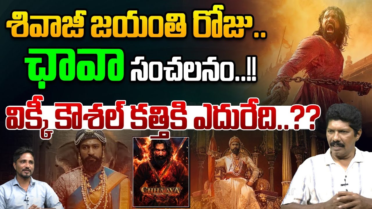 శివాజీ జయంతి రోజు..చావా సంచలనం..| Chhavaa Movie Collections | Chatrapathi Shivaji | Wild Wolf Telugu