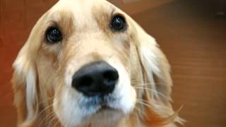 Capture 20120511