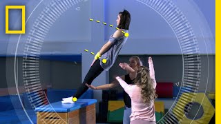 トラストフォールの科学 | バ科学