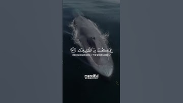 سوره انبیاء آیات ۸۷-۸۸ و [یاد کن] صاحب نهنگ [یعنی یونس] را.