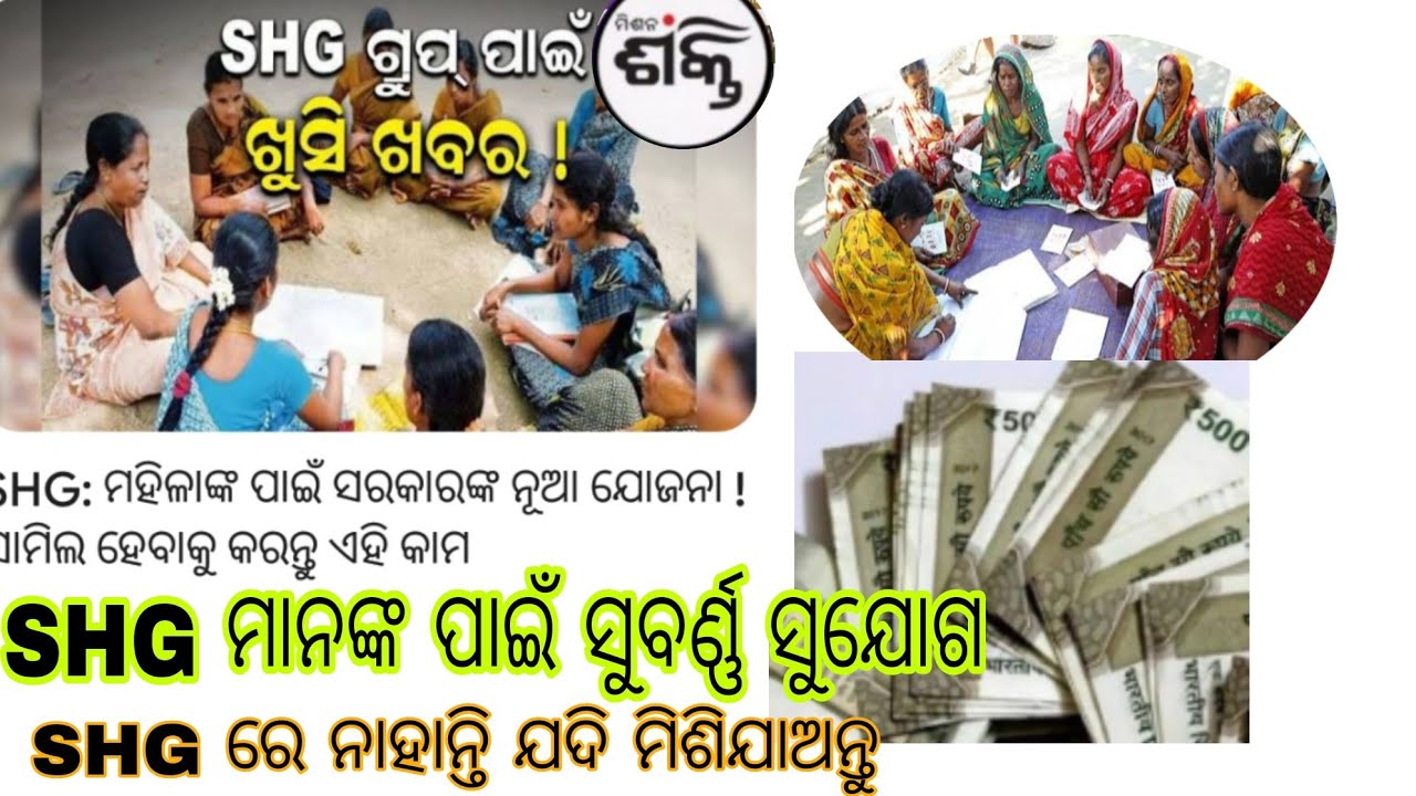 shg-shg-members-individually-loan-provided
