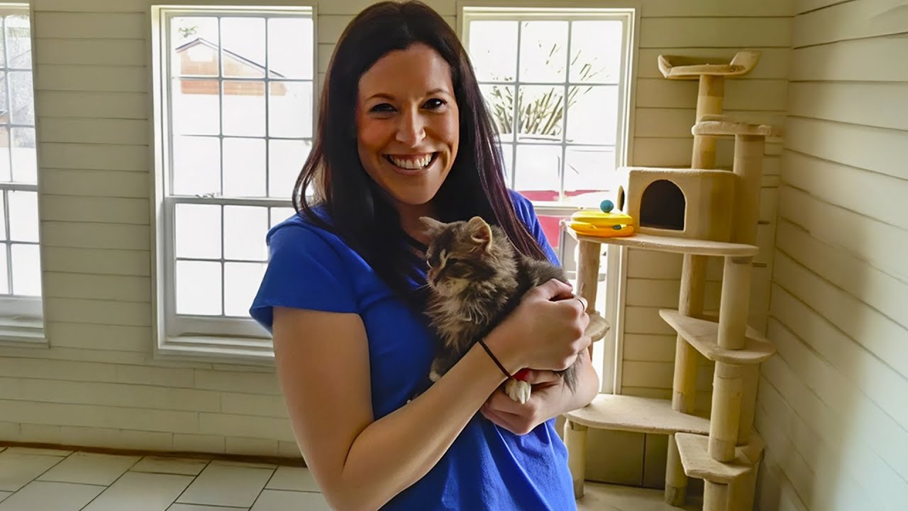 She Never Wanted a Cat — Until She Met This Talkative Boy