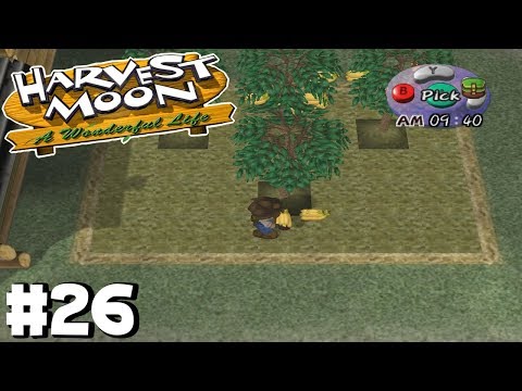 Harvest Moon A Wonderful Life - #26, Bananas make Bank