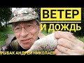 Боковой кивок. И в дождь и в ветер... . Рыбак Андрей Николаев. Деревня Ликино и Щедрино.