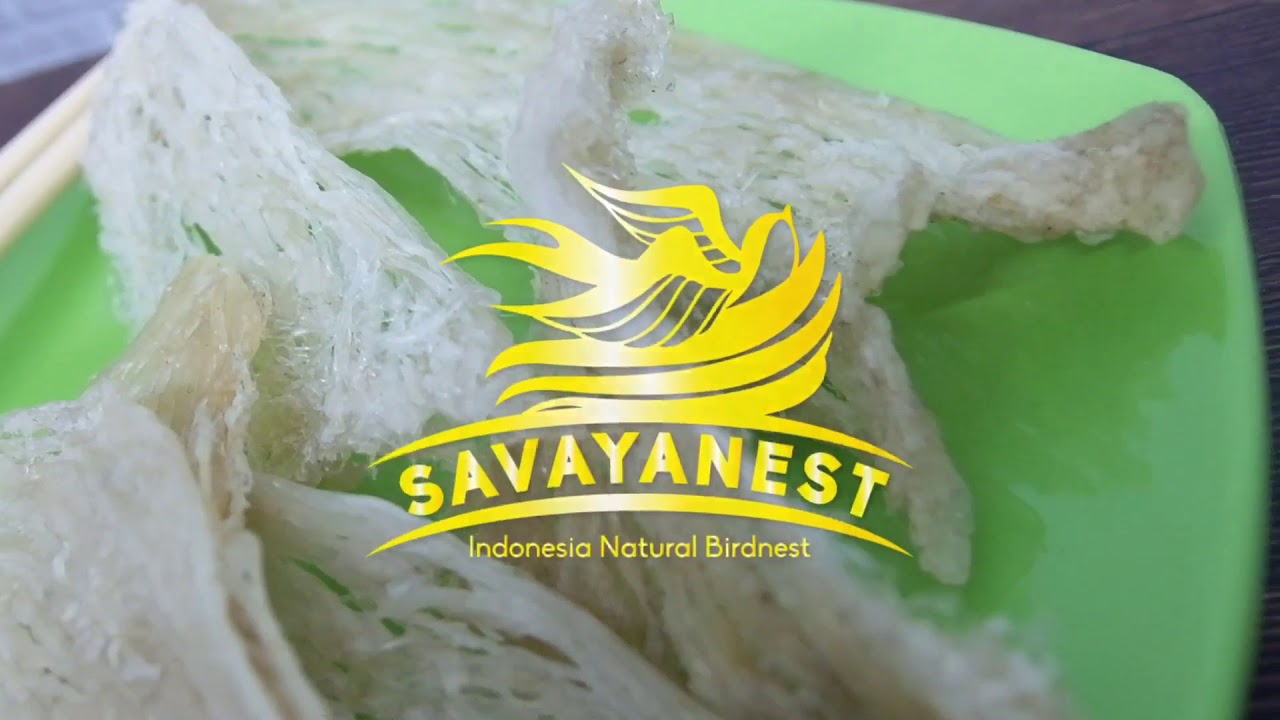 Jual Sarang Burung Walet Patahan 50gr 100% Alami | Savayanest