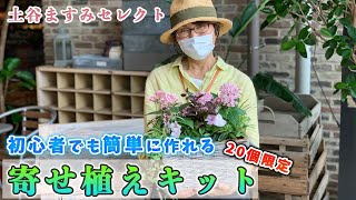 For beginners of potted planting!!] Masumi Tsuchitani's selected