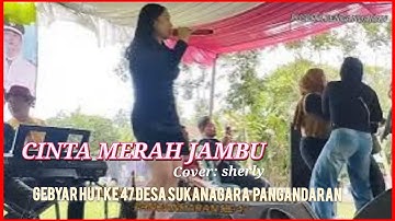 Cinta merah jambu 🎵sherly 🙋‍♂️acara hut ke 47 desa sk nagara pangandaran 