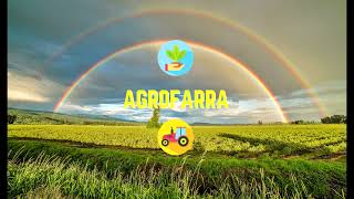 MELHORES MODÃO SERTANEJO - SUCESSOS MODÃO [AGROFARRA]