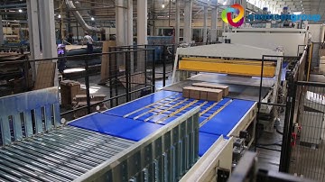 05 New Auto RDC Outfeed Line with vacuum stripper stacker 2800