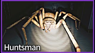 Run from super giant man-eating spiders...【Huntsman】 screenshot 5