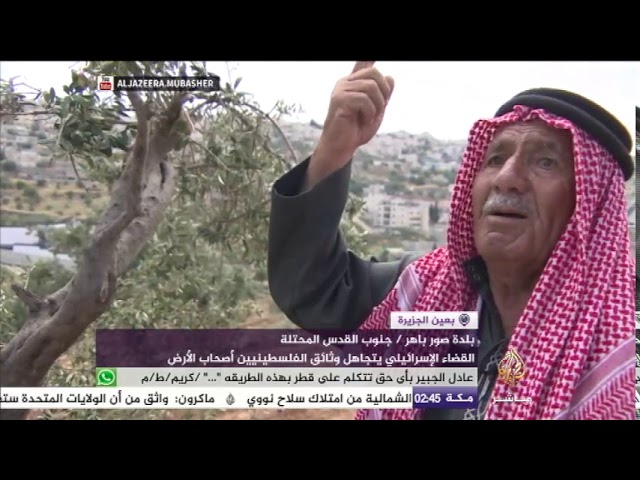 الاحتلال يقتلع عشرات أشجار الزيتون المعمرة جنوب القدس المحتلة