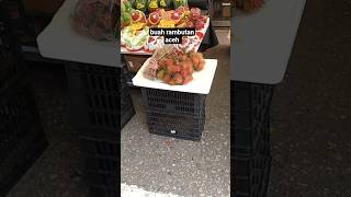 buah rambutan  jambu air buah naga   jalan jalan  #shorts #pasarhongkong