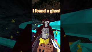 I Found A Gtag GHOST?! #gtagvr #gtag #gorillatagquest #vr #fypシ