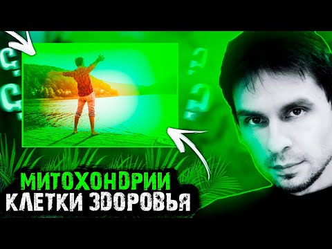 Митохондрии: Как жить долго и счастливо!