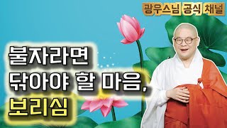 불자라면 닦아야 할 마음, 보리심 |  한글자막 | 광우스님의 부처님과 제자들 통합본 제1회