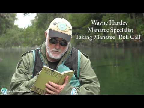 Wayne Hartley TV PSA – Cold Stress/Brutus Public Service Announcement (30 seconds)