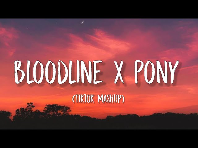 Bloodline X Pony (Lyrics) Tiktok Mashup | Ariana Grande x Ginuwine class=