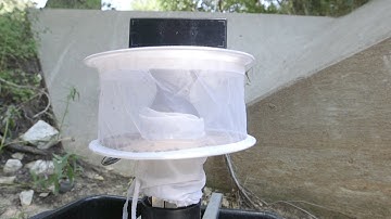 Ask Arlington: Mosquito-Borne Illness Prevention & Awareness