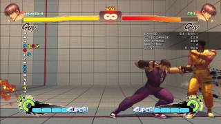 USF4: Beehol Guy Findings 2.0