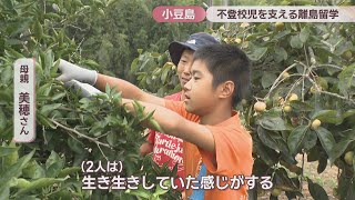 [Special Feature] Studying Abroad on a Remote Island to Support School-Refusing Children: Brother...