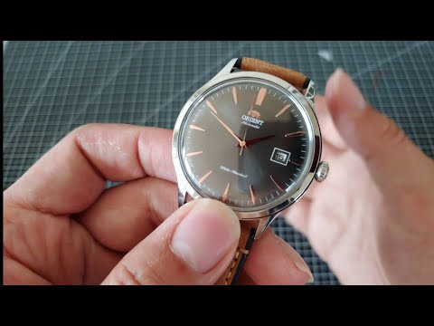 지나친 가성비 오리엔트 밤비노 버전4 orient bambino ver.4