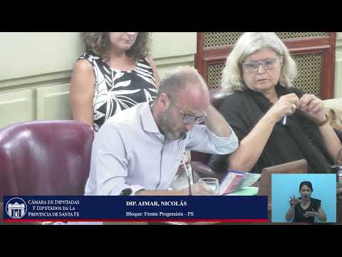 INTERVENCION DIPUTADO AIMAR