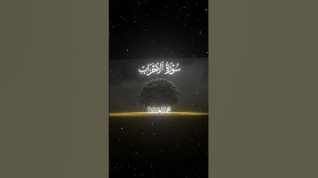 سورة الأحزاب|40-43|القارئ:#محمد_اللحيدان #قران #quran #راحة_نفسية #قران_كريم#تلاوة_هادئة#تلاوة_خاشعة
