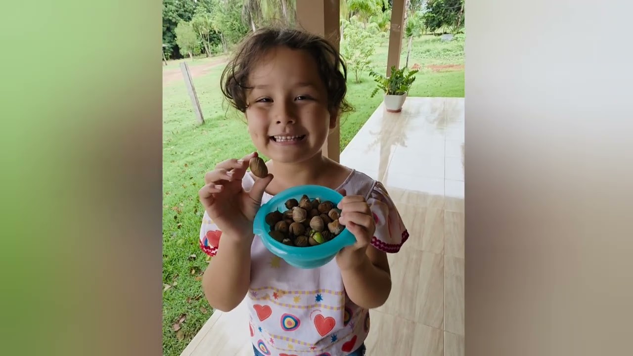 Dia de colher frutas na casa da vovo