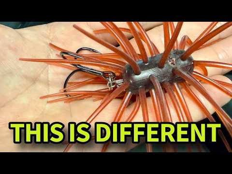 A Totally Different Take on the Urchin Craze | NEW YEN by Duckett