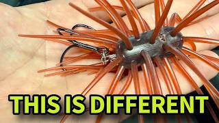 A Totally Different Take on the Urchin Craze | NEW YEN by Duckett