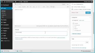 How to set custom excerpts on your WordPress posts