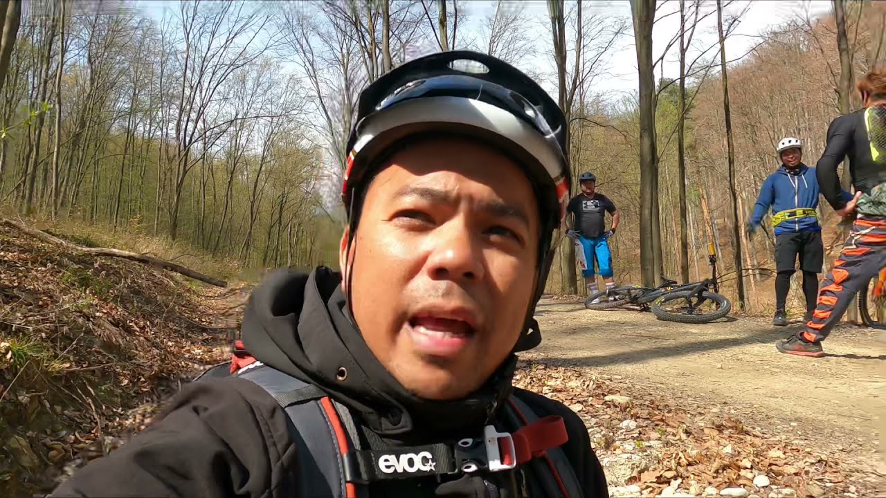 Weidlingbach Trail Vienna Austria