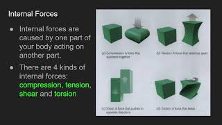 Structures Day 4: Loads and Internal Forces