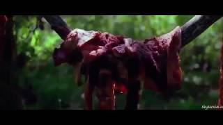 #Horror Hollywood Movie 2018 | #Action movie in Hindi urdu Dubbed | Hollywood Movie