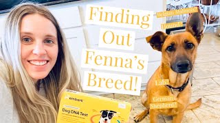 Testing Our Dog's DNA to Find Out Her Breed!