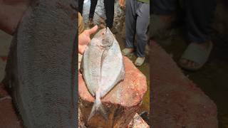 Perfect Butterfish Cutting Tutorial!#Shorts