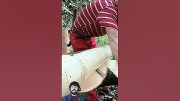 Old But Genius Way to Remove Tree Bark #youtubeshorts #woodworking #shortsfeed #shorts #wood #asmr