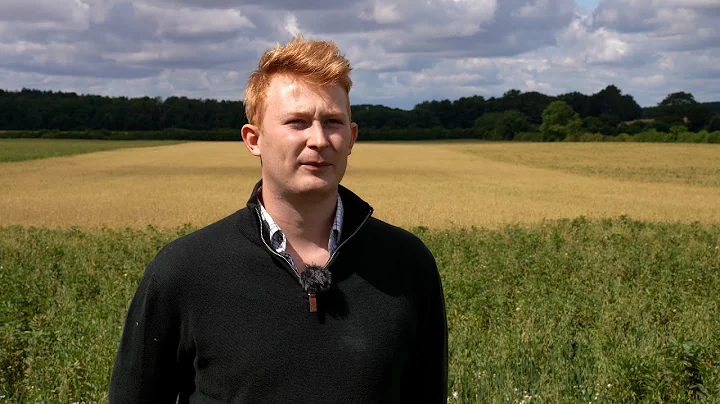 Journey to Net Zero Competition: A catch up with Ben Adams