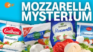 Cheese Check: Das steckt wirklich im Supermarkt-Mozzarella I WISO