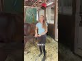 Rating Fly Control Products for the horse farm 🪰🪰