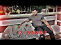 12 BANDE x DUCKY BHAI 🔥 | Ducky Bhai Vlogs | Ducky Bhai Edit | 12 Bande Song Edit | Bewra Editz