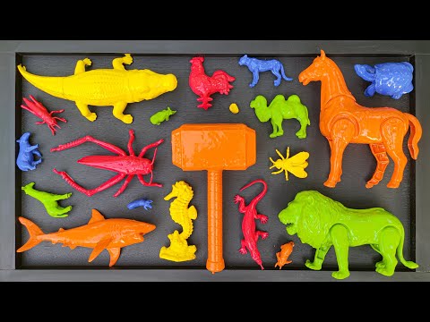 CLEANING: Cow, Elephant, Mammoth, Chimpanzee, Rabbit, Crocodile, Chicken, Duck, Snake, Kangaroo.