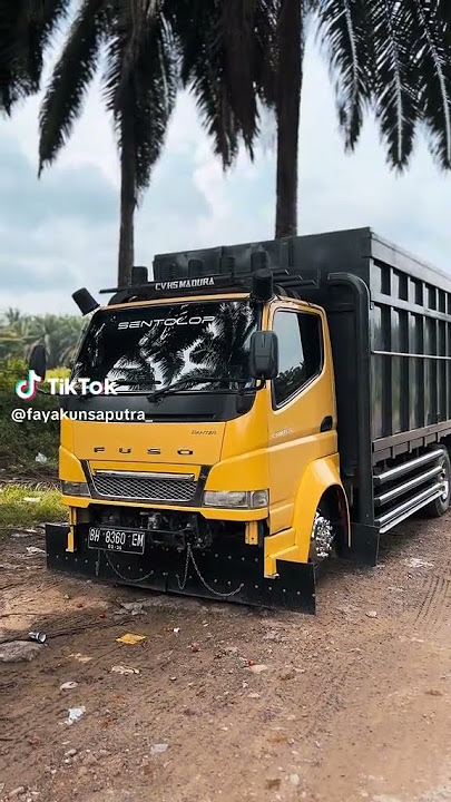 Truck Jambi style