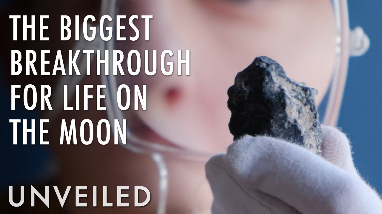 Scientists Just Proved That Plants Can Grow in Lunar Soil Unveiled