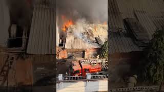 Topsia Arupota  fire sofa factory