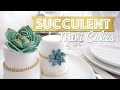 Succulent Mini Cakes Tutorial