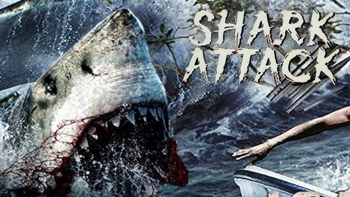 Shark Attack 3-Pack